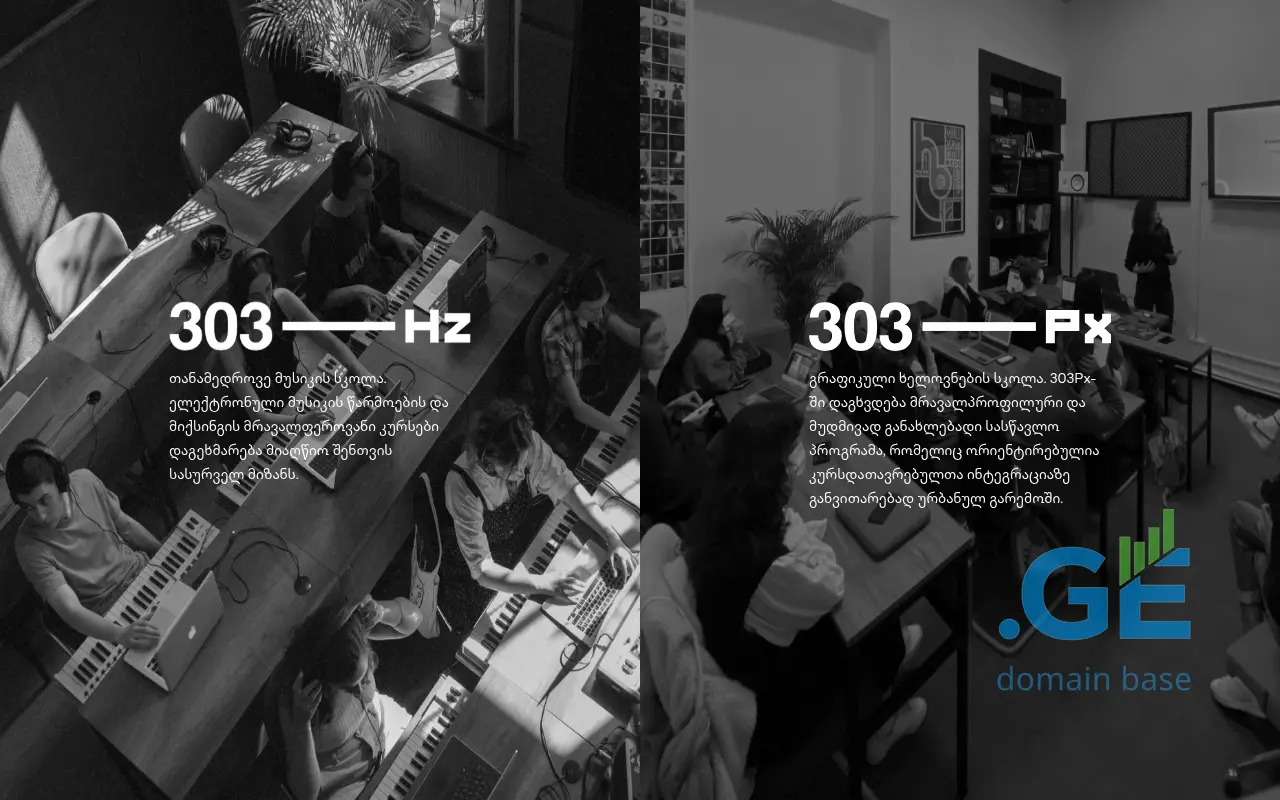 Screenshot of the site 303.ge
