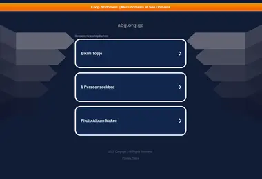 Screenshot of abg.org.ge