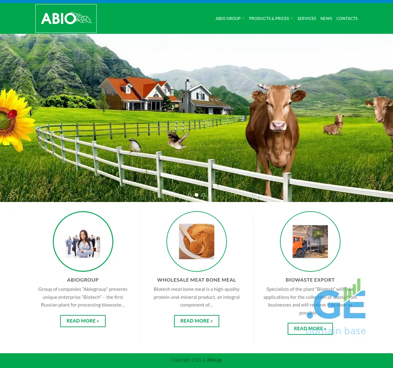 Screenshot of the site abio.ge