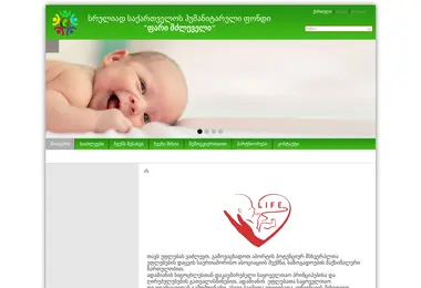 Screenshot of abort.org.ge