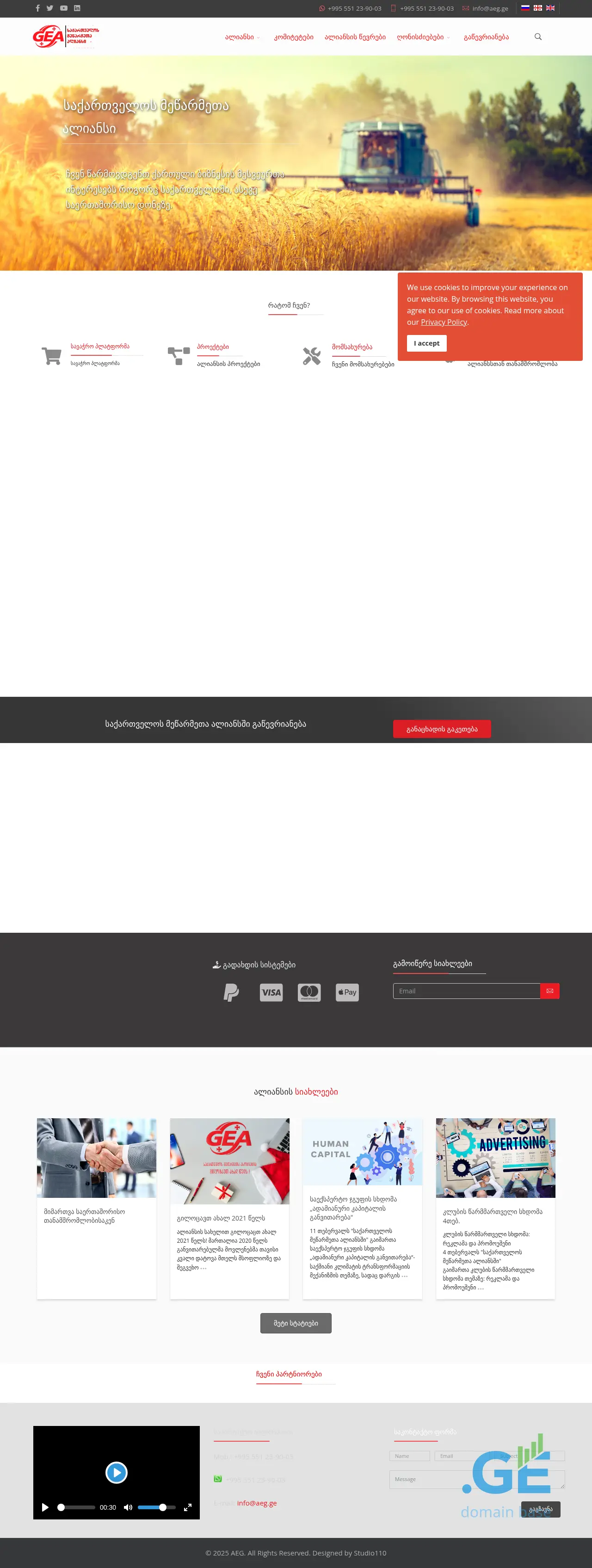 Screenshot of the site aeg.ge