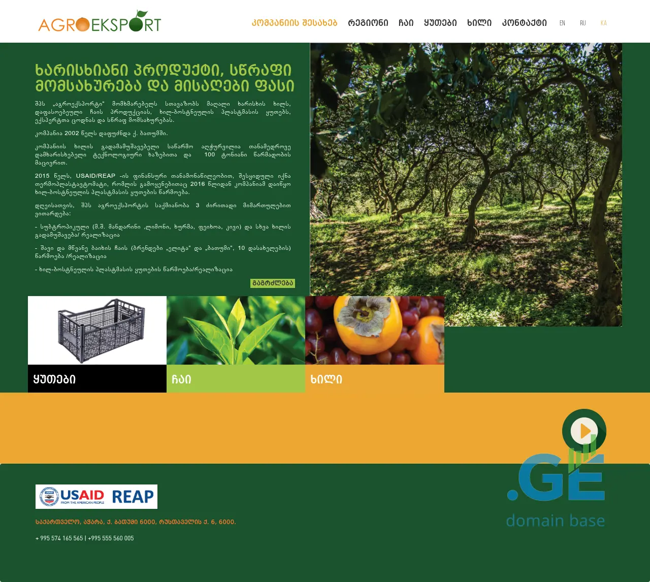 Screenshot of the site agroeksport.ge