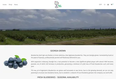 Screenshot of agrolane.ge