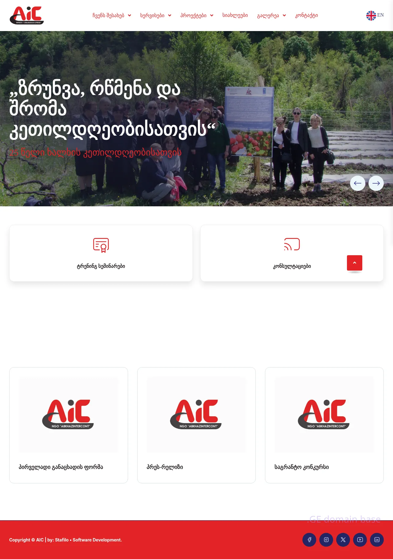 Screenshot of the site aic.org.ge