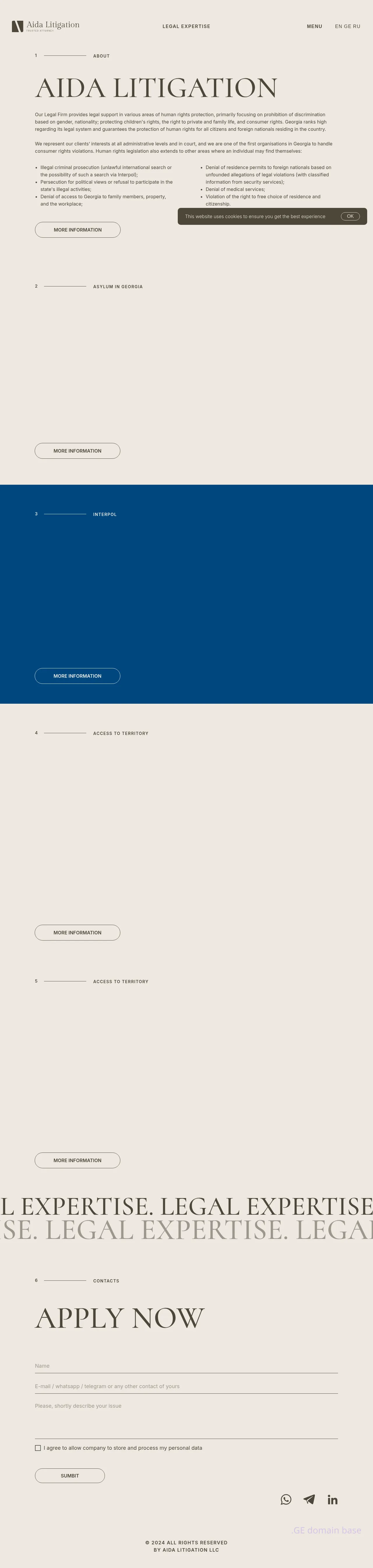 Screenshot of the site aida.ge