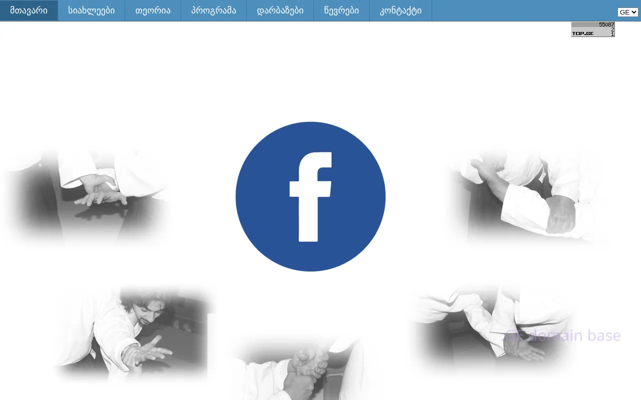 Screenshot of the site aikido.ge