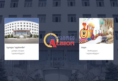 Скриншот albion.ge