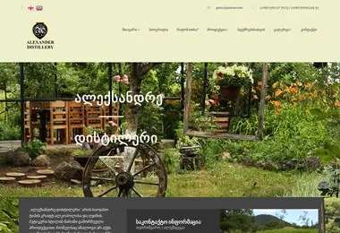 Screenshot of alexander.com.ge