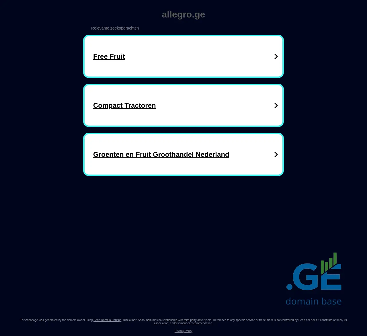 Screenshot of the site allegro.ge