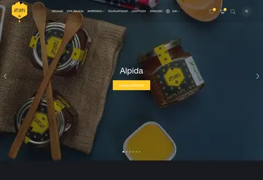 Screenshot of alpida.ge