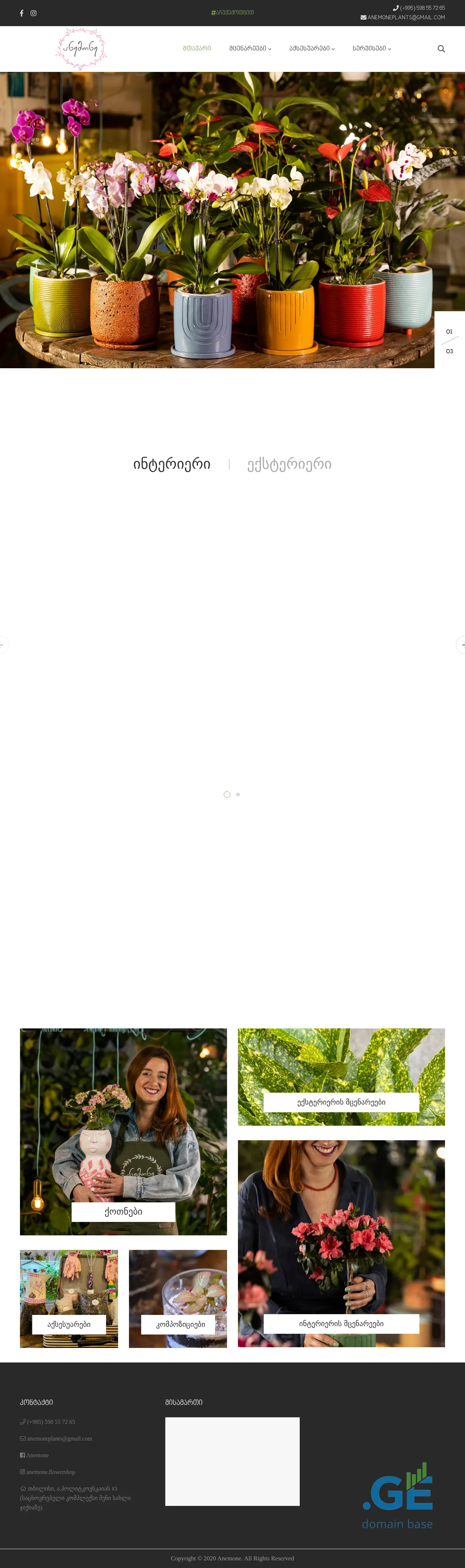 Screenshot of the site anemone.ge