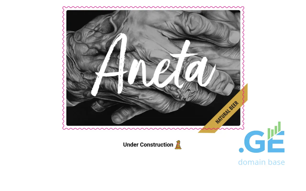 Screenshot of the site aneta.ge
