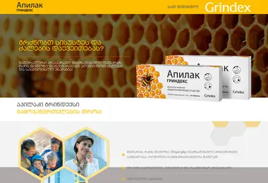 Screenshot of apilaki.ge