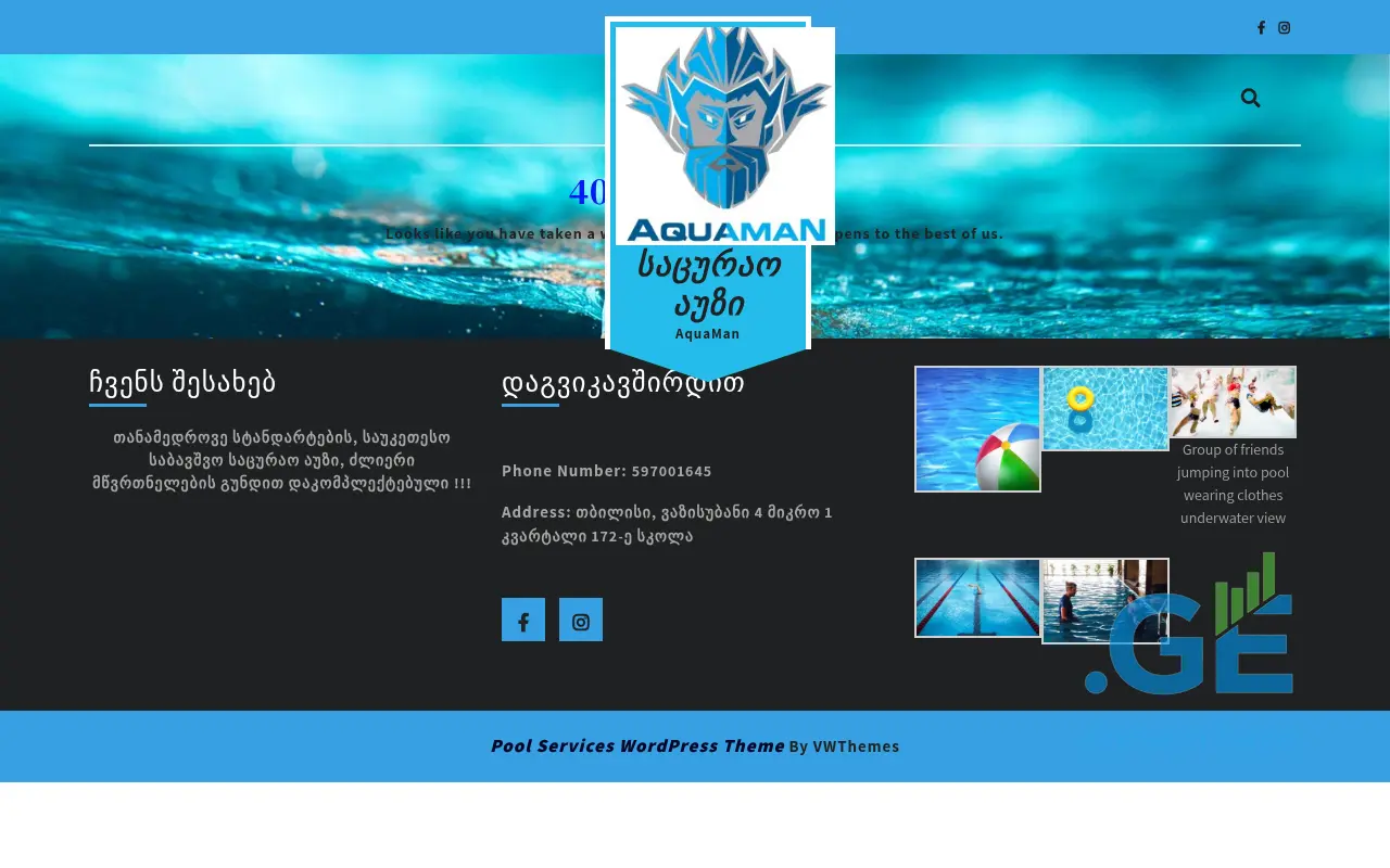 Screenshot of the site aquaman.ge