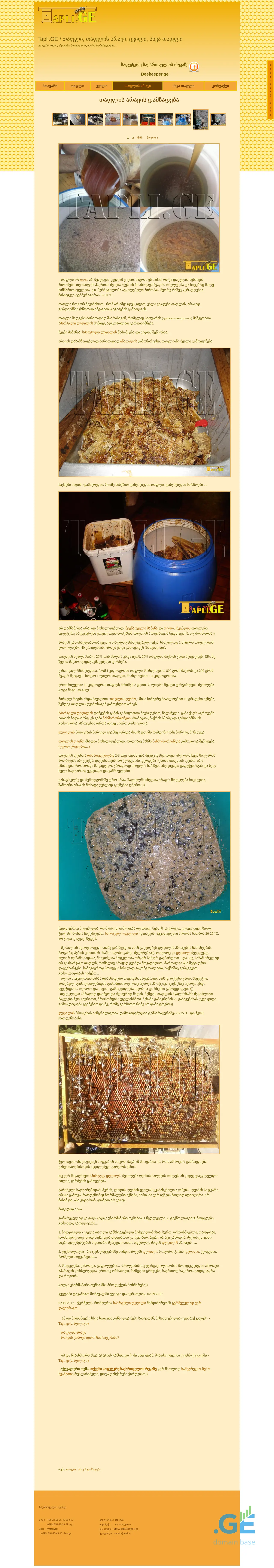Screenshot of the site arayi.ge
