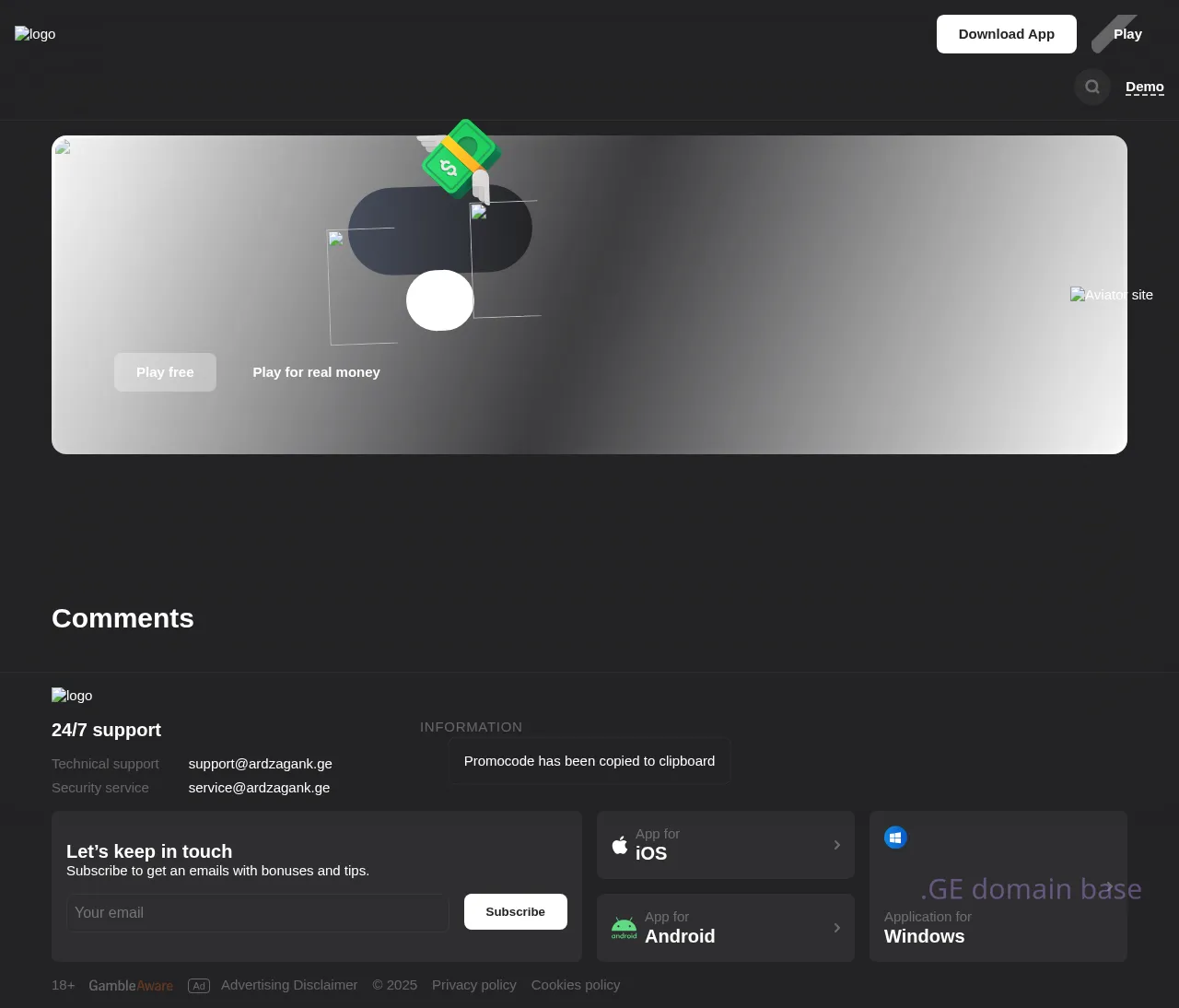 Screenshot of the site ardzagank.ge