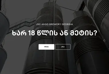 Screenshot of argo.ge