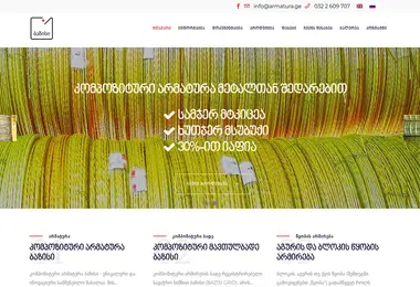 Screenshot of armatura.ge