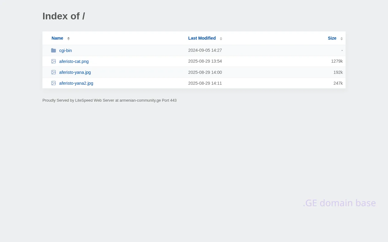 Screenshot of the site armenian-community.ge