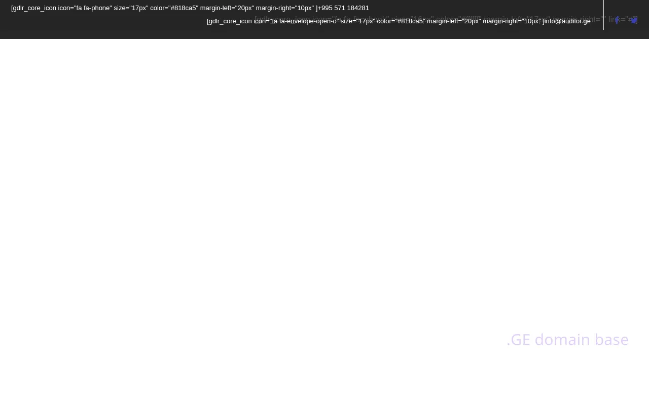 Screenshot of the site auditor.ge