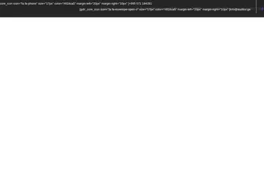 Screenshot of auditor.ge