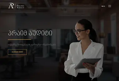 Screenshot of auditors.ge