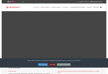 Screenshot of auditservice.ge