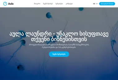 Screenshot of aula.ge