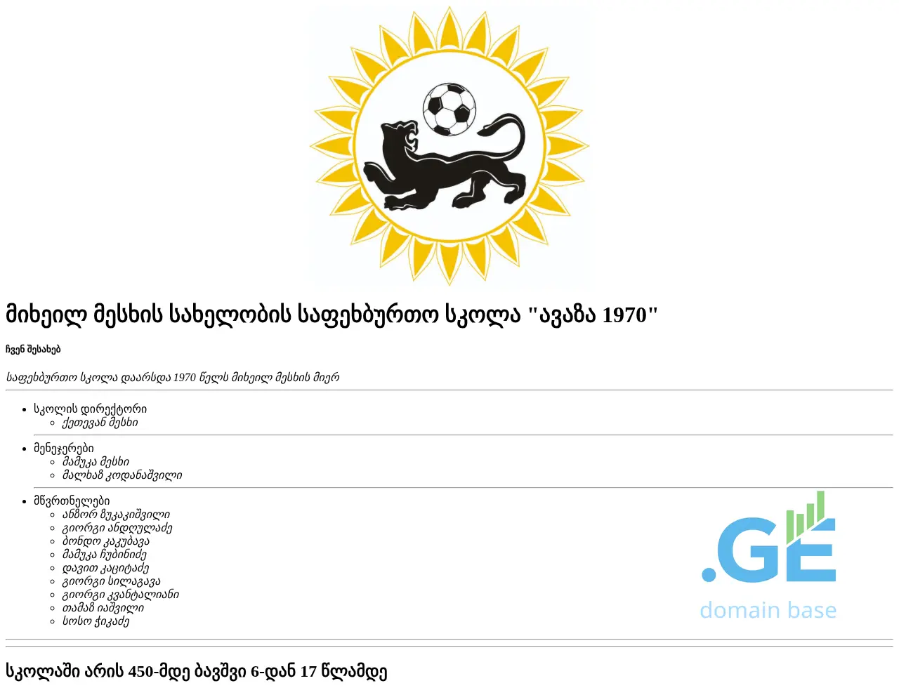 Screenshot of the site avaza.ge