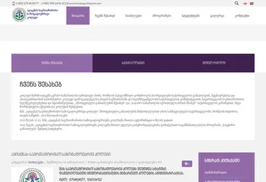 Screenshot of avicenna.edu.ge