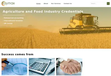 Screenshot of aymax.ge