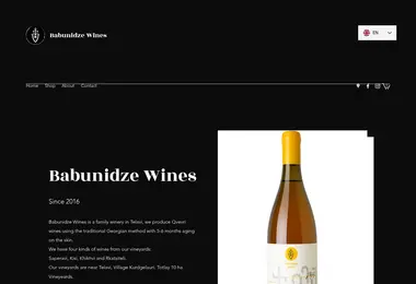 Screenshot of babunidzewines.ge