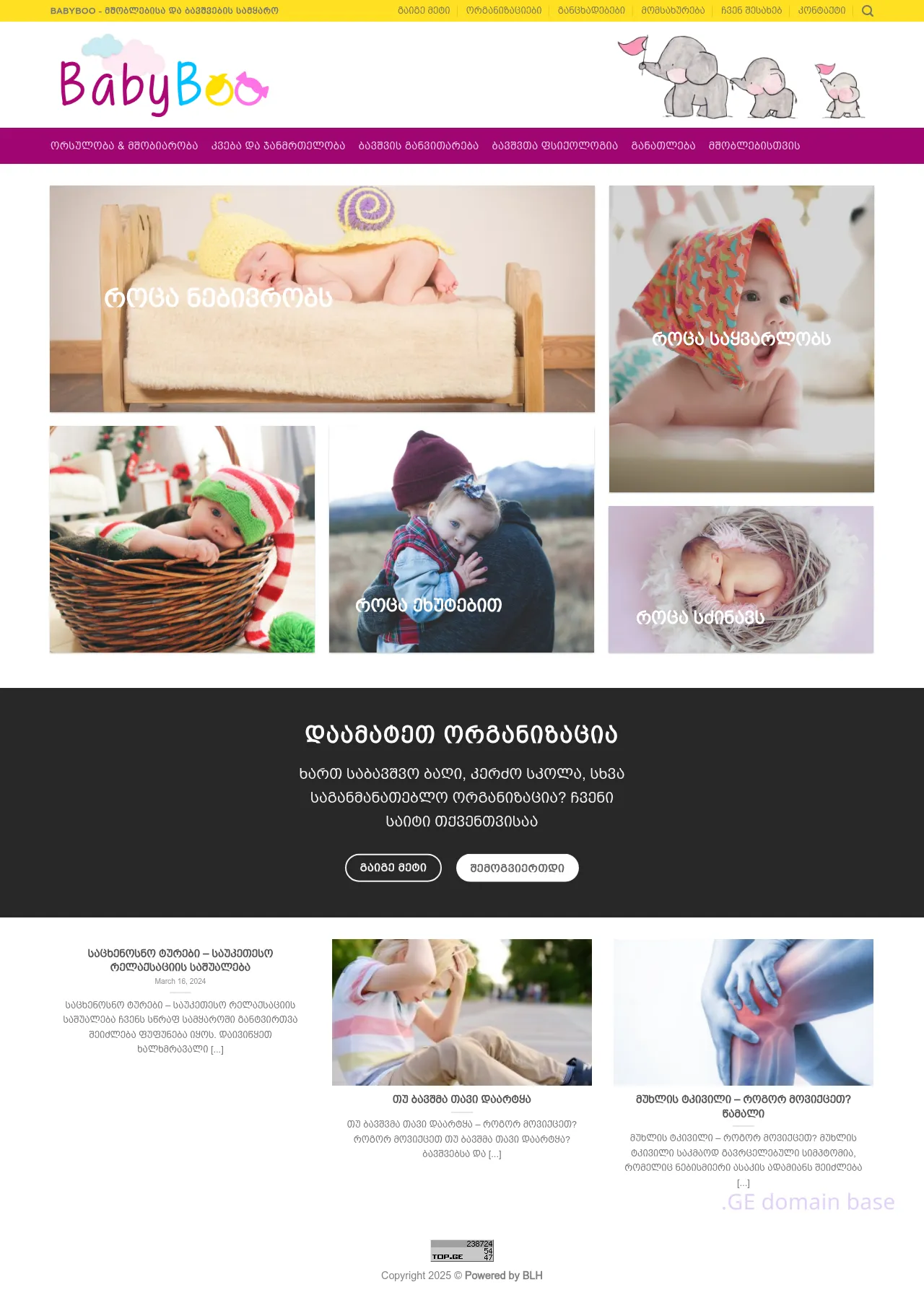Screenshot of the site babyboo.ge