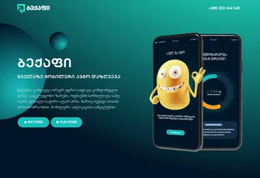Screenshot of backapp.ge