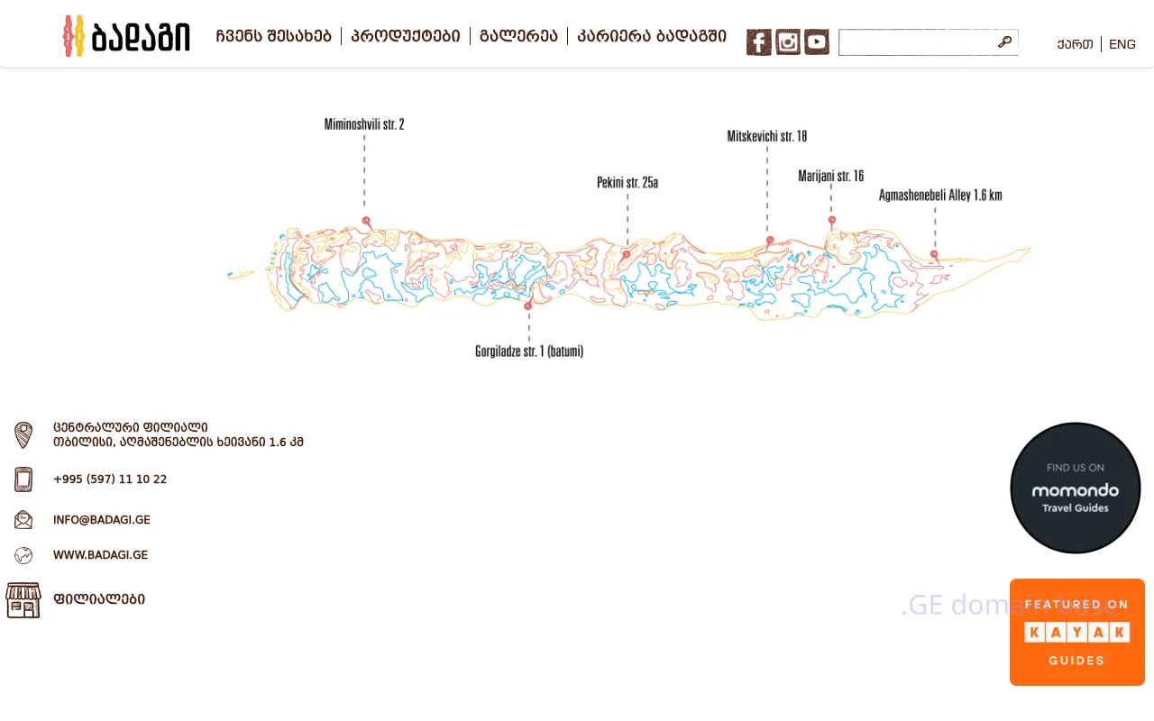 Screenshot of the site badagi.ge