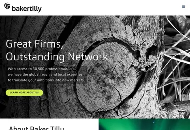 Screenshot of bakertilly.ge