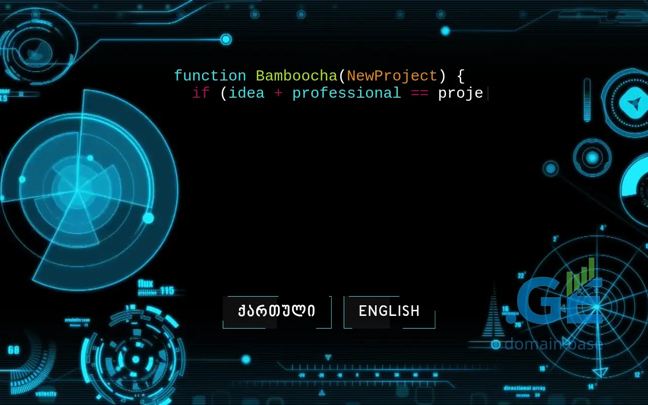 Screenshot of the site bamboocha.ge