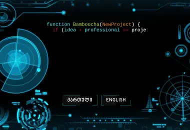 Screenshot of bamboocha.ge