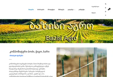 Скриншот bazisi.ge