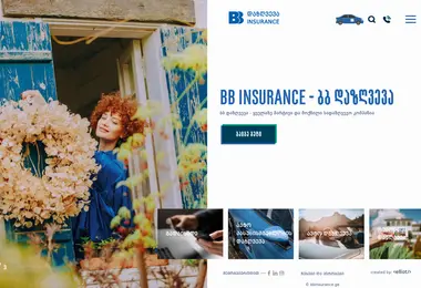Screenshot of bbinsurance.ge