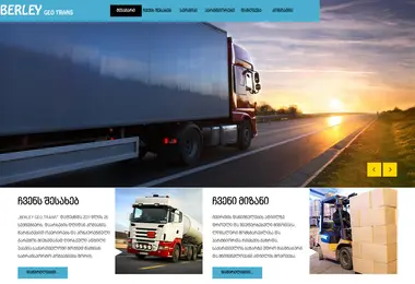 Screenshot of berleygeotrans.ge