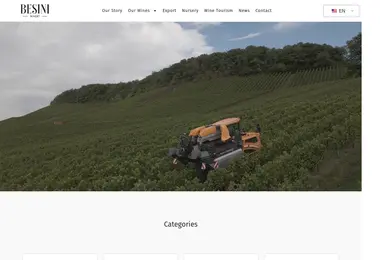 Screenshot of besiniwine.ge