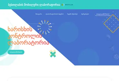Screenshot of bestlab.ge
