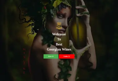 Screenshot of bgw.com.ge