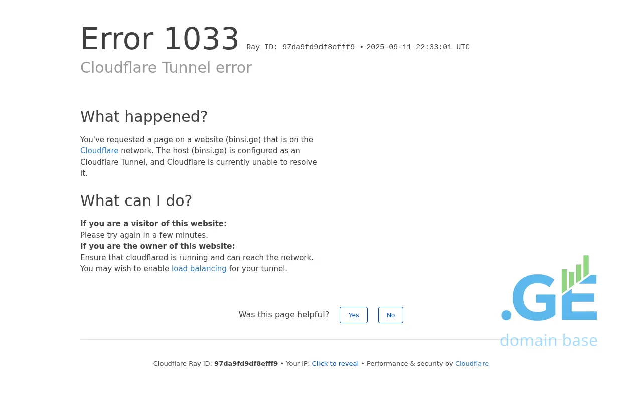 Screenshot of the site binsi.ge