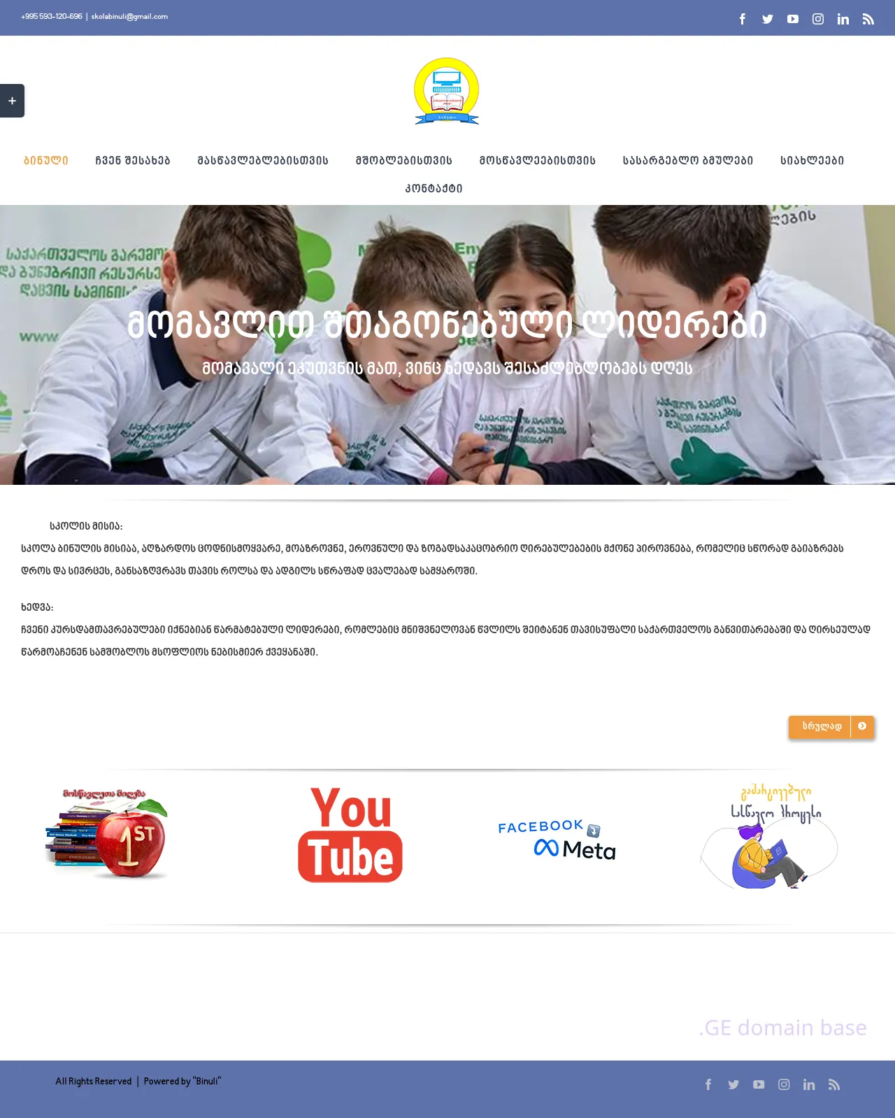 Screenshot of the site binuli.edu.ge