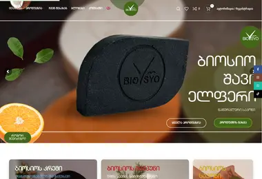 Screenshot of biosyo.ge