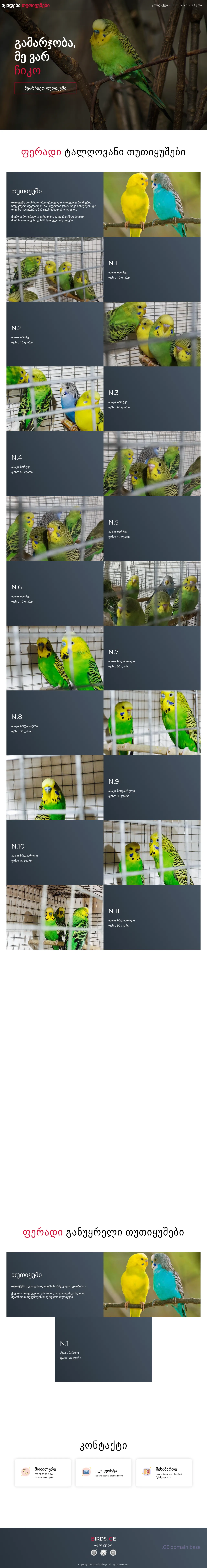 Screenshot of the site birds.ge