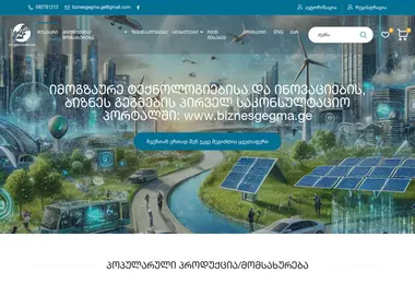 Screenshot of biznesgegma.ge