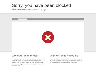 Screenshot of bizon.ge